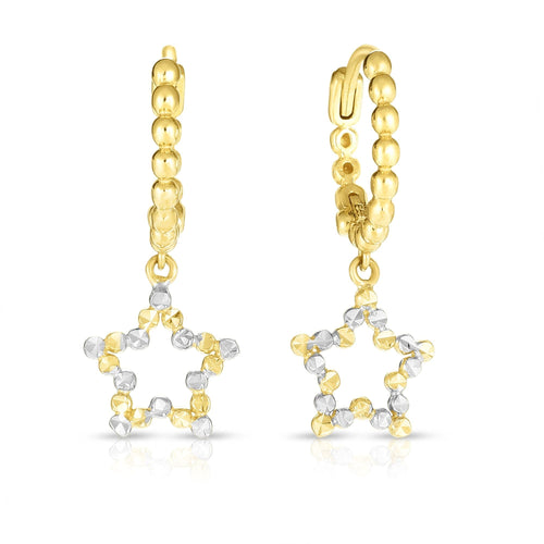 14K Two-Tone Gold Earrings | Carroll's