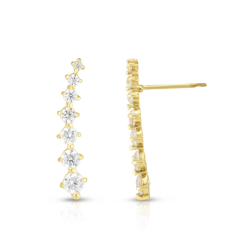 Royal Chain Other Earrings | Carroll's