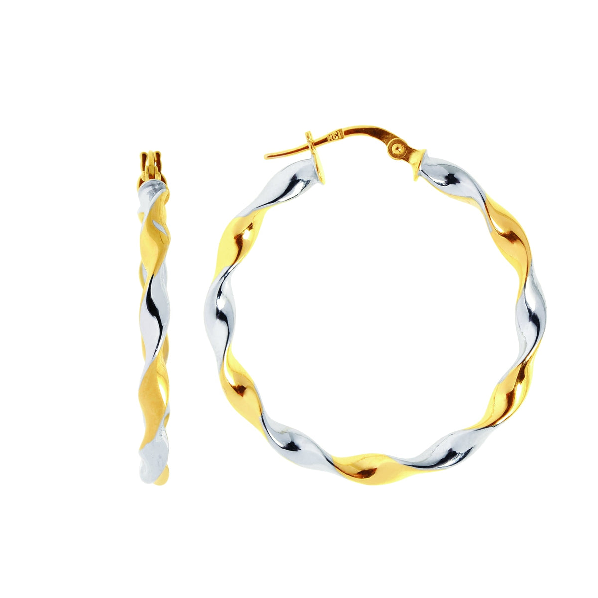 14K Two-Tone Gold Earrings | Carroll's