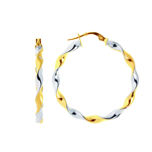 14K Two-Tone Gold Earrings | Carroll's