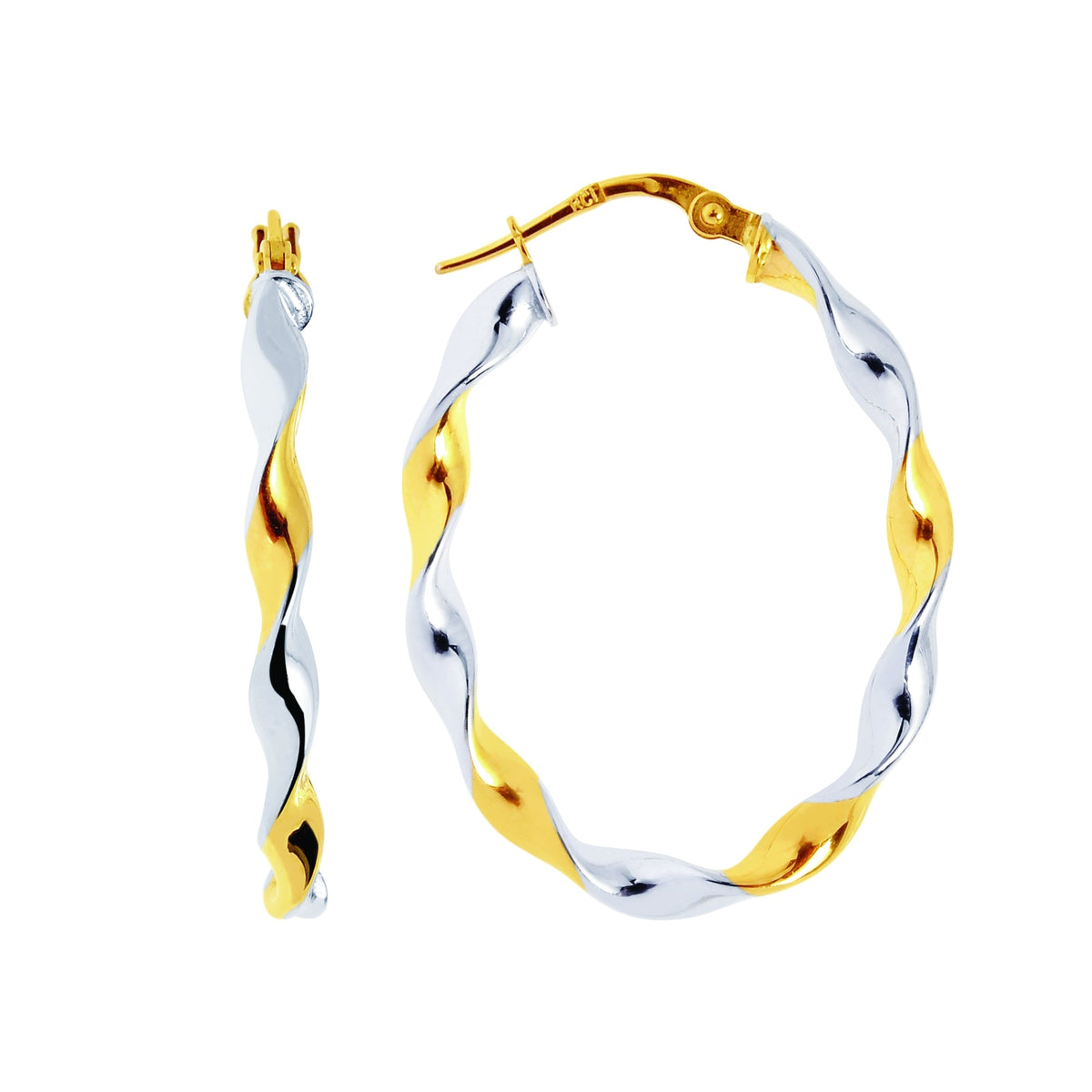 14K Two-Tone Gold Earrings | Carroll's