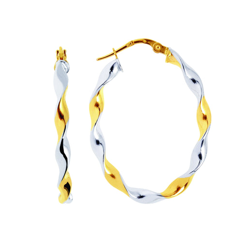 14K Two-Tone Gold Earrings | Carroll's