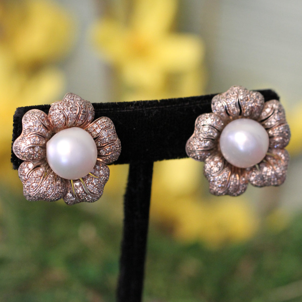 Earrings | Carroll's (view 3)