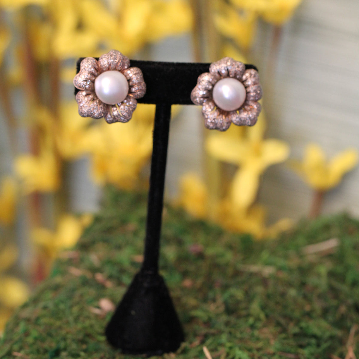 Earrings | Carroll's (view 2)