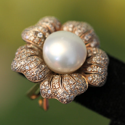 Earrings | Carroll's