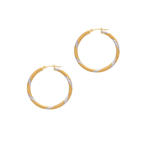 14K Two-Tone Gold Earrings | Carroll's