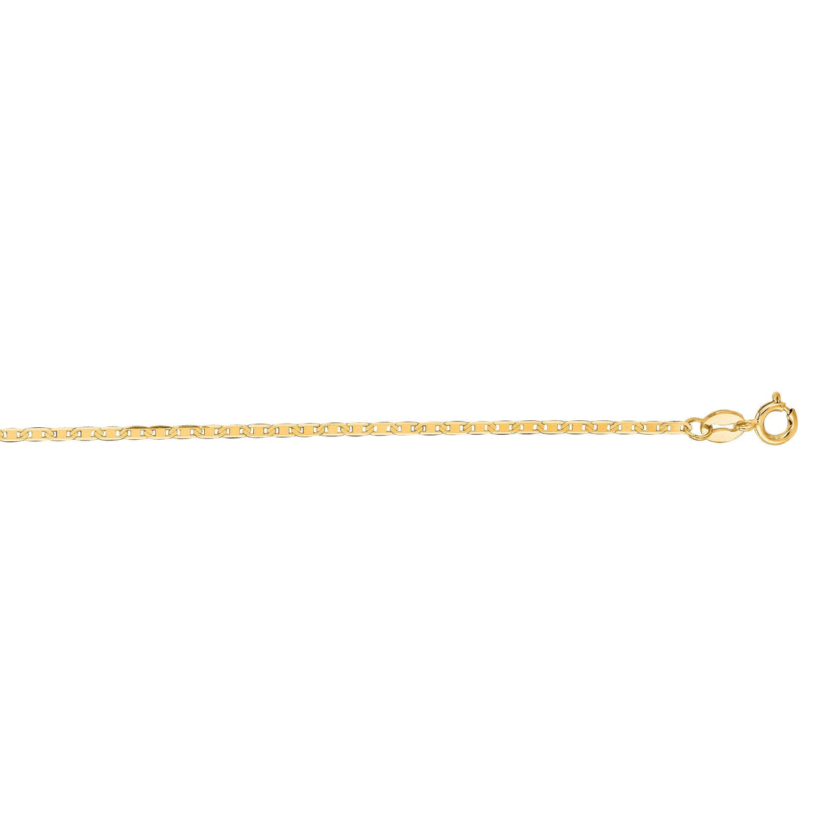14K Yellow Gold Chains | Carroll's