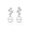 Night Sky Earrings