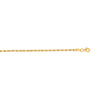 14K Yellow Gold 2.5mm Diamond Cut Royal Rope Chain Necklace