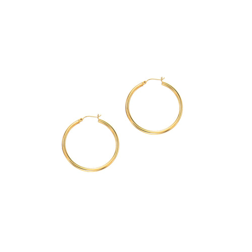 14K Yellow Gold Earrings | Carroll's