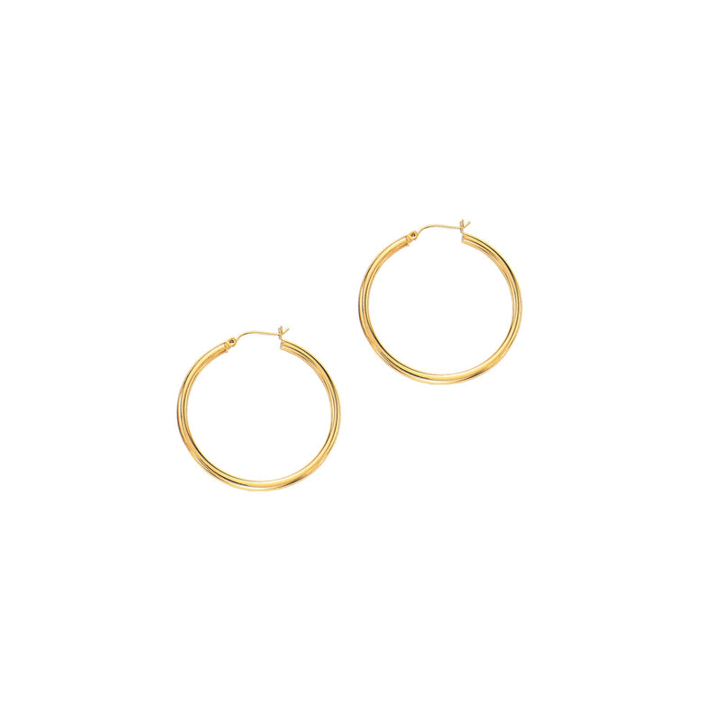 14K Yellow Gold Earrings | Carroll's