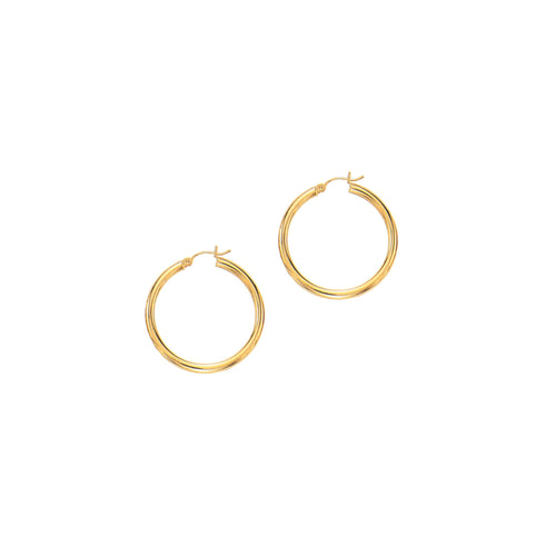14K Yellow Gold Earrings | Carroll's