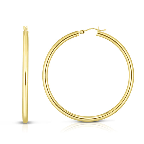 14K Yellow Gold Earrings | Carroll's
