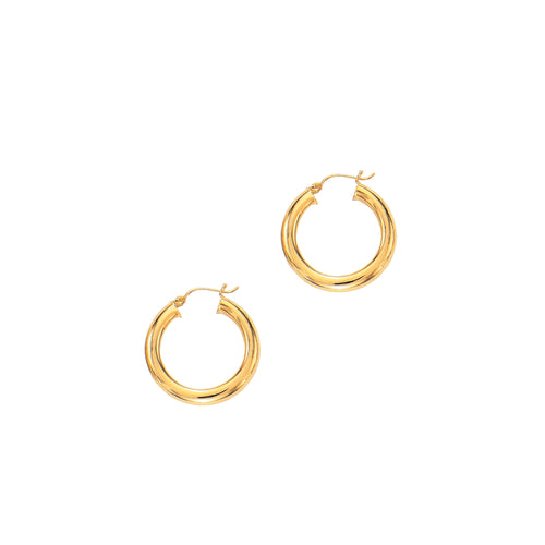 14K Yellow Gold Earrings | Carroll's