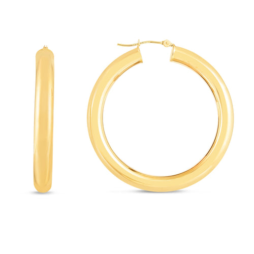 14K Yellow Gold Earrings | Carroll's