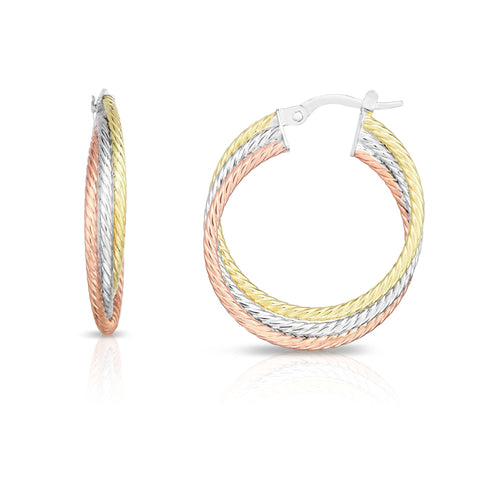14K Yellow Gold Earrings | Carroll's