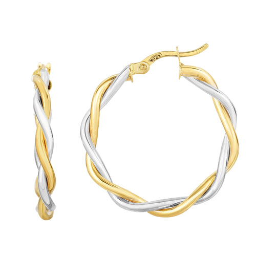 10K Two-Tone Gold Earrings | Carroll's