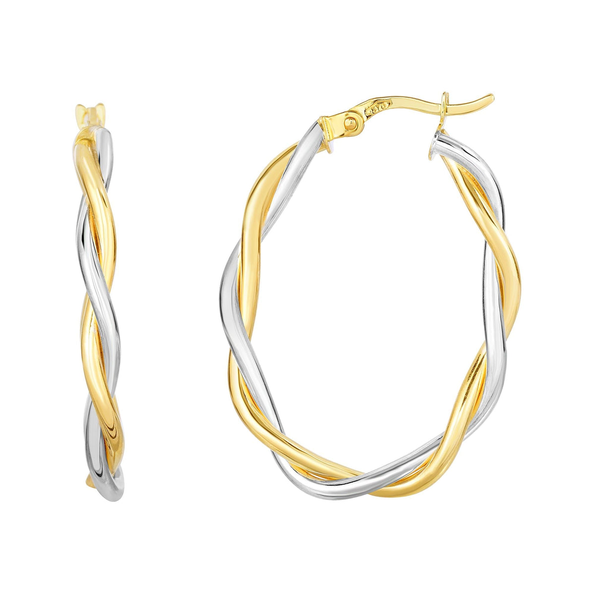 10K Two-Tone Gold Earrings | Carroll's