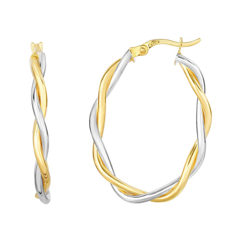 10K Two-Tone Gold Earrings | Carroll's