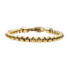 18K Gold IP Bold Box Chain Set