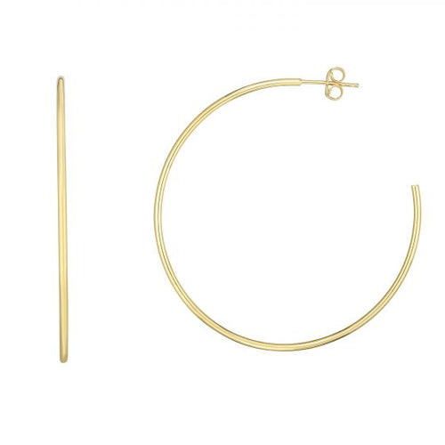 14K Yellow Gold Earrings | Carroll's