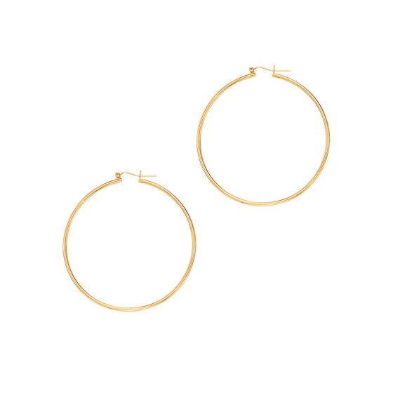 14K Yellow Gold Earrings | Carroll's
