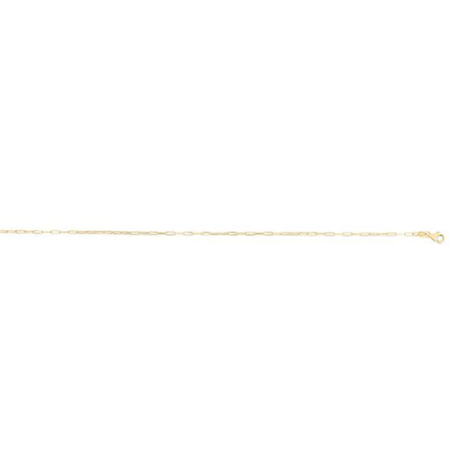 14K Yellow Gold Necklaces | Carroll's