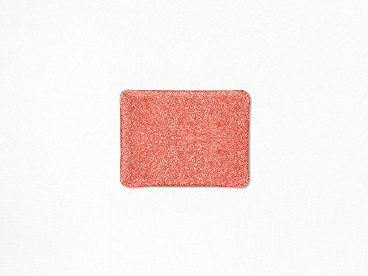 Coral Prestige Acrylic Valet Tray