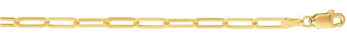 14K Yellow Gold Anklets | Carroll's