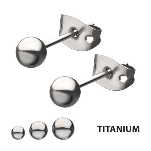 Titanium Titanium Earrings | Carroll's