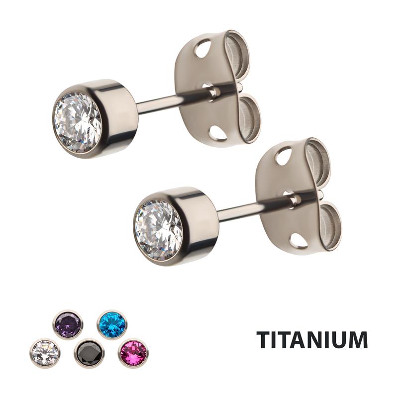 Titanium Titanium Earrings | Carroll's