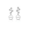 Sterling Silver Night Sky Earrings