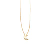 14K Yellow Gold .005 Carat Diamond Moon Necklace