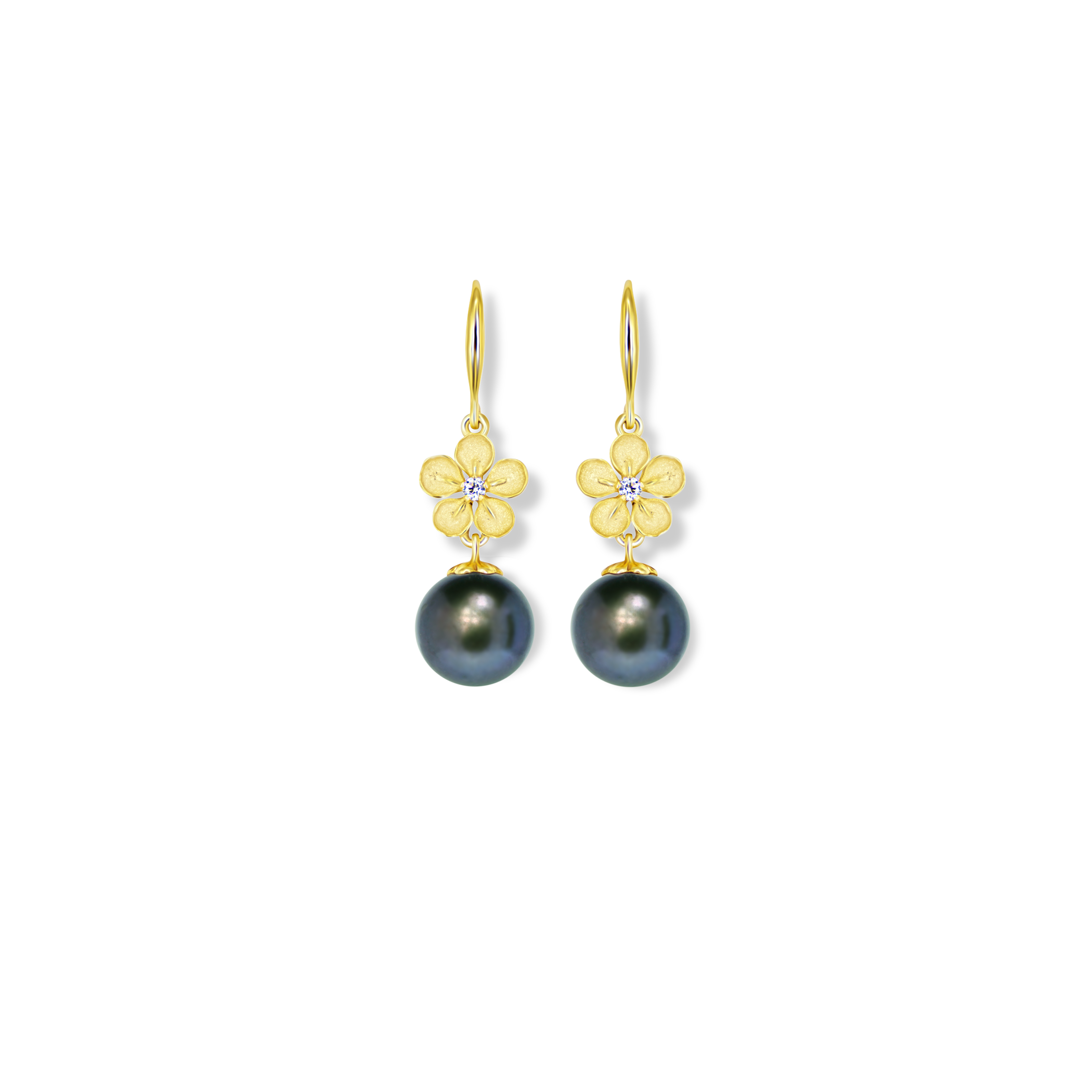 Golden Apricot Royal Black Pearl Earrings – Carroll's